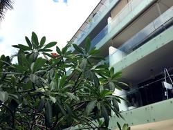 The Peak@Balmeg (D5), Condominium #121582952